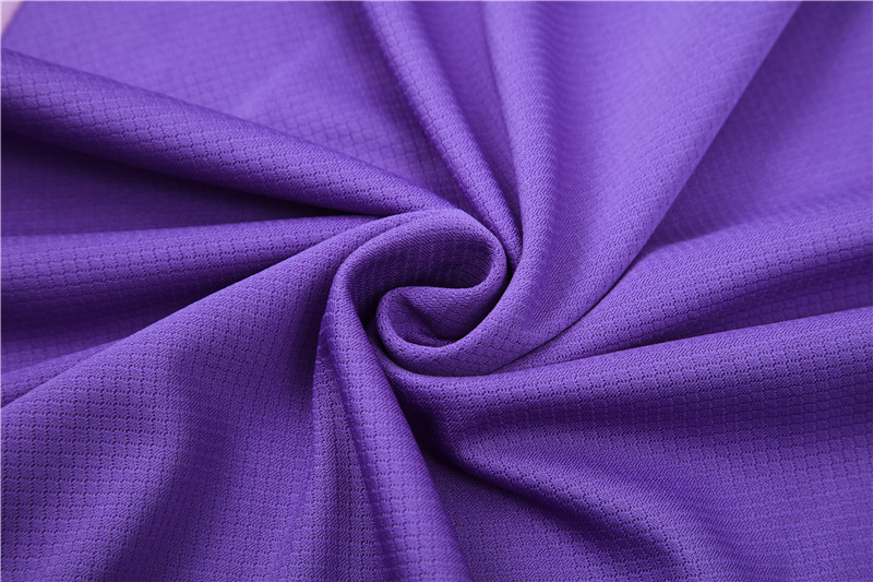 allemagne-kits tshirt violet-2024:2025-3