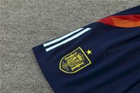 espagne-kits tshirt bleu-2024:2025-4
