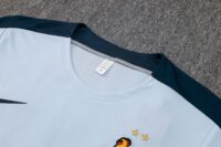 france-kits tshirt clair-2024:2025-3