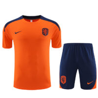 paysbas-kits tshirt orange-2024:2025-1