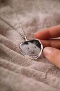 Pawly-Collier crystal 3