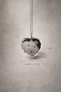 Pawly-Collier crystal-5